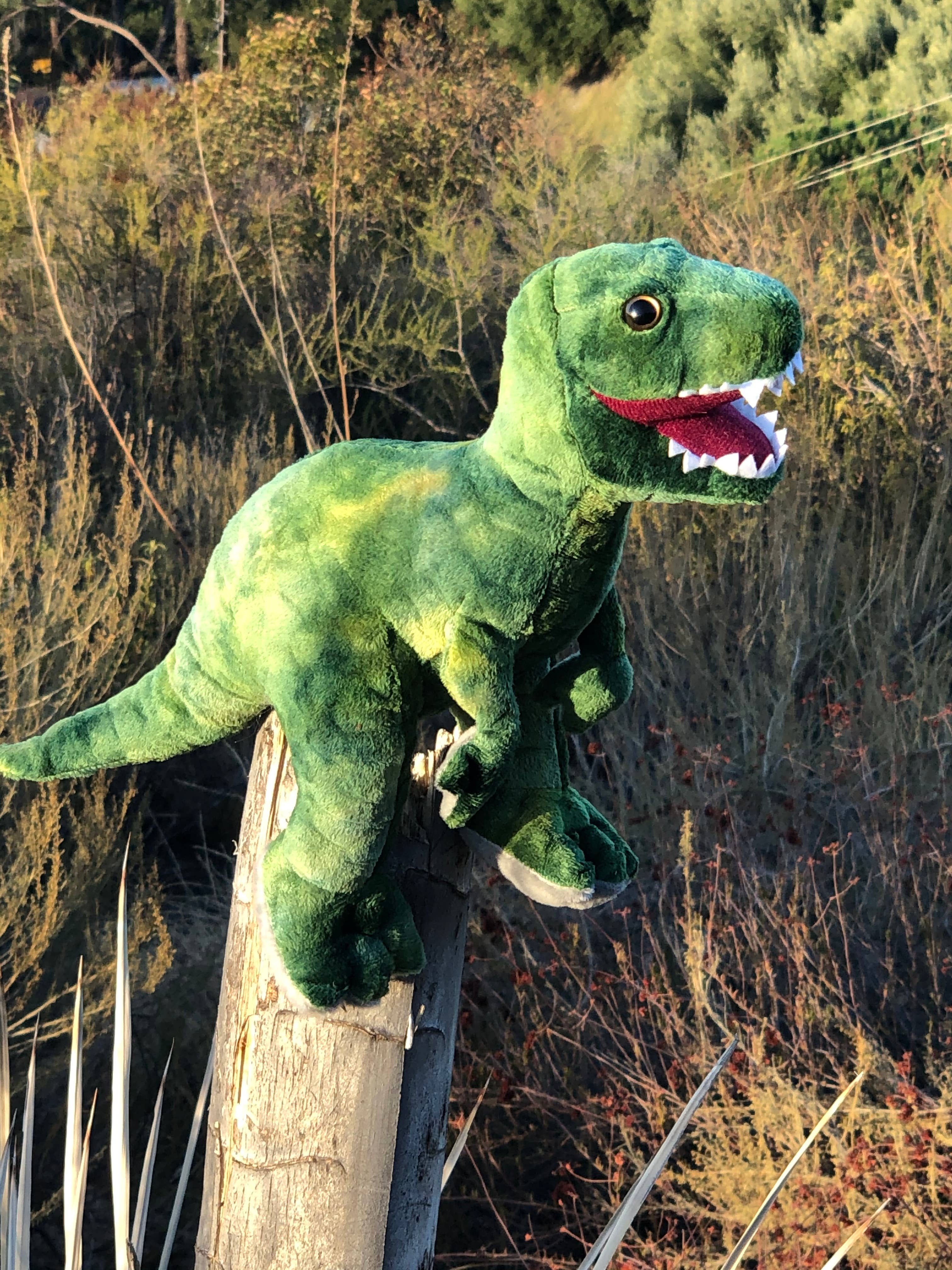 Dinosaur T Rex Stuffed Animal