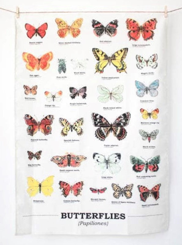 Large Butterflies Card