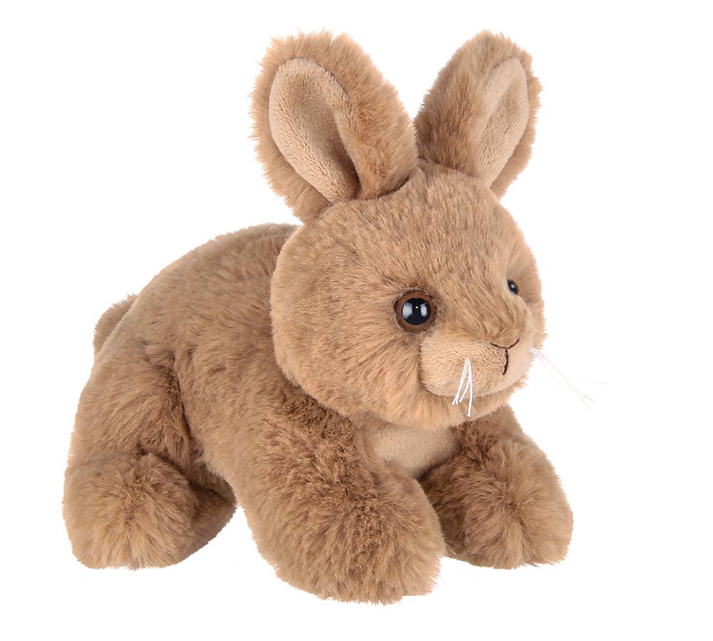 Lil' Skippy the Brown Bunny - Clearance
