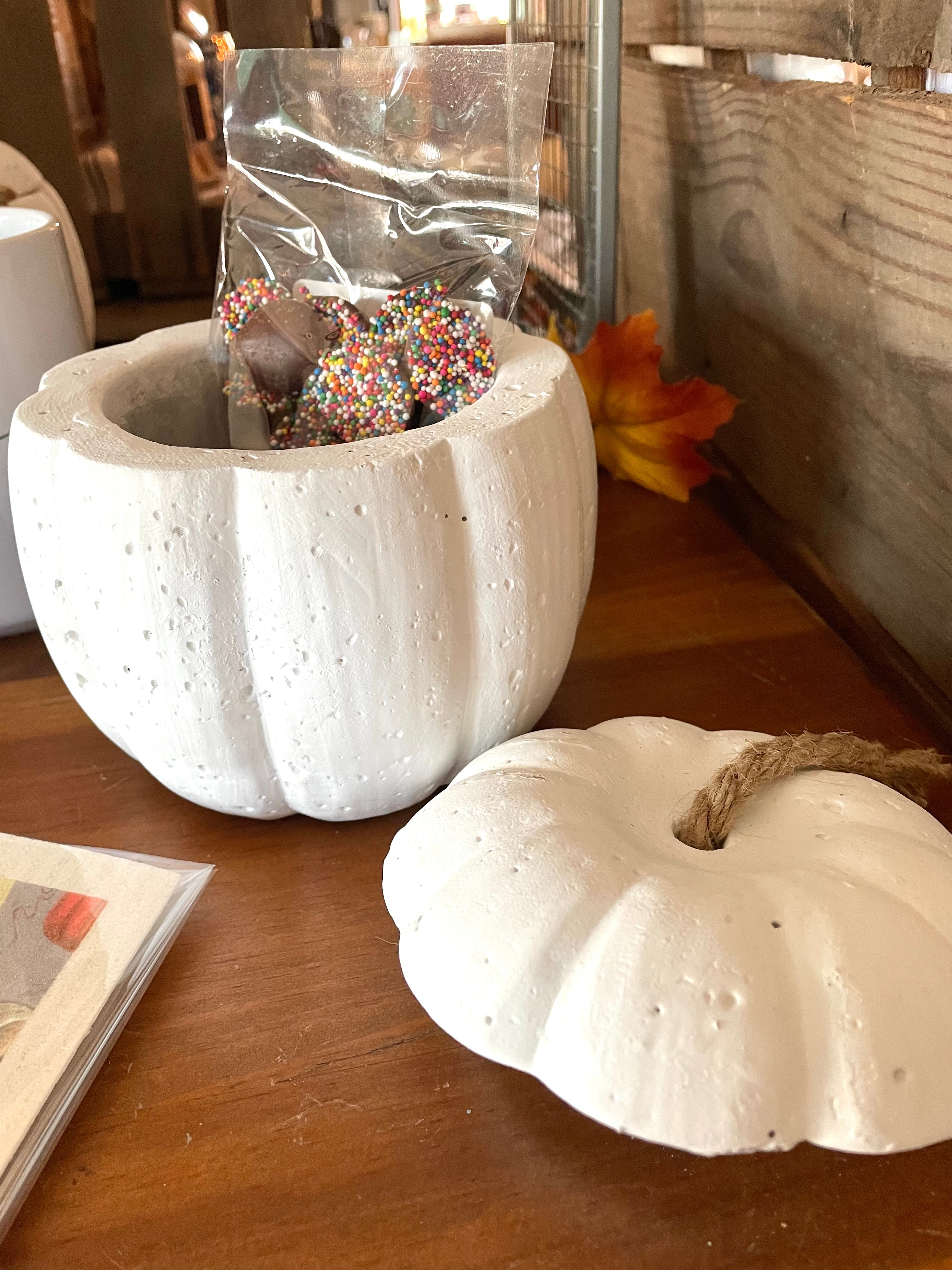 Plaster Pumpkin Décor Containers - Clearance